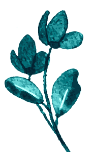 پرداخت آنلاین 2 flower1